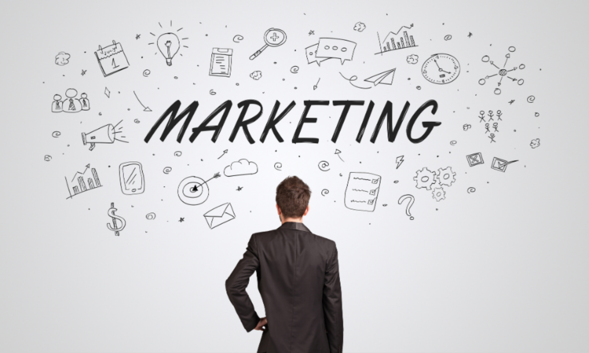 Lynn Albro Marketing Specialist