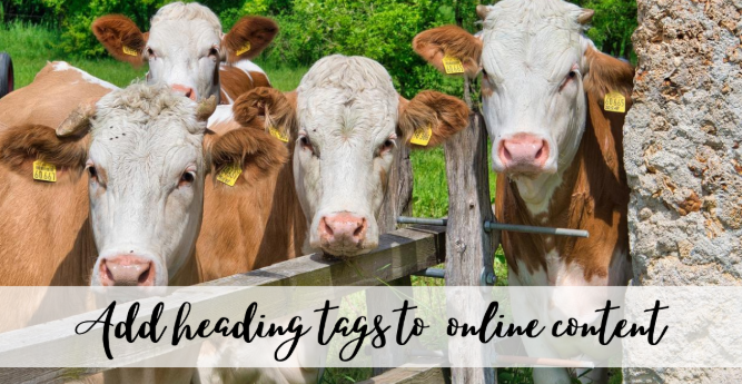 Internet Marketing Tips; Add heading tags to your page to drive traffic